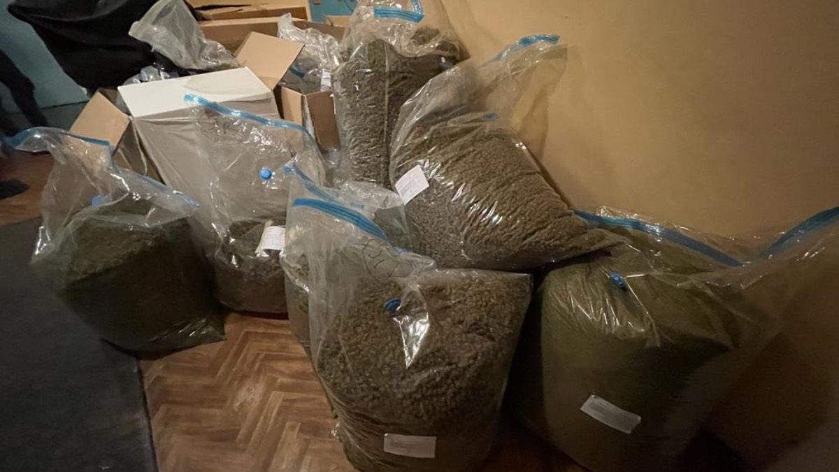 rynek-CBD-limit-THC