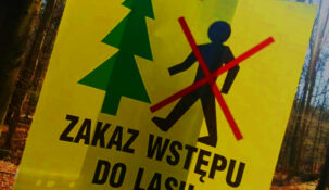 Zakaz wstępu do lasu. Tyle zapłacisz, jeśli go złamiesz