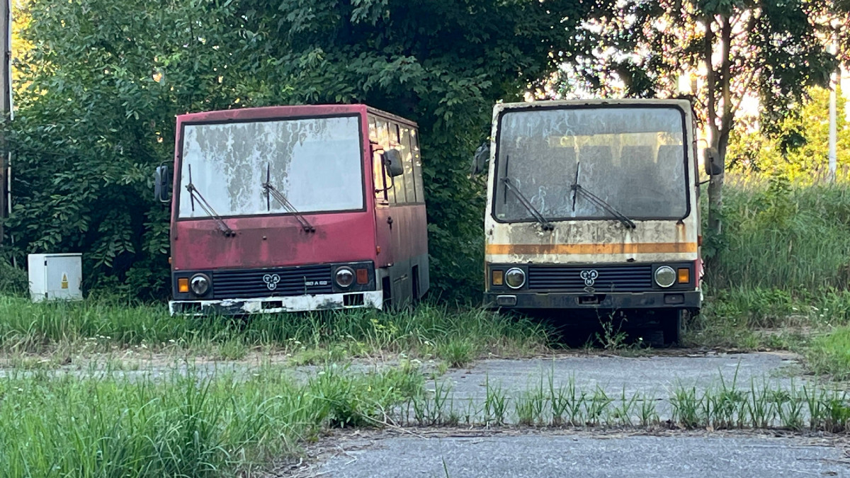 Reanimacja transportu publicznego na prowincji? Te plany robią wrażenie