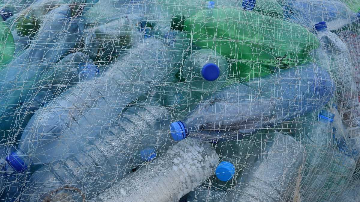 System kaucyjny już od 1 października 2025 roku
