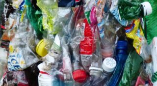 rozszerzona odpowiedzialność producenta a branża rolno-spożywcza