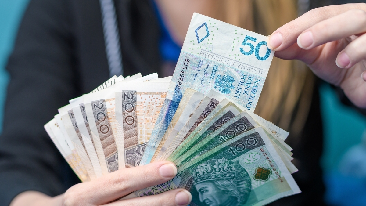 Ile naprawdę zarabiają roszczeniowi młodzi Polacy? Te dane mogą wpędzić w depresję