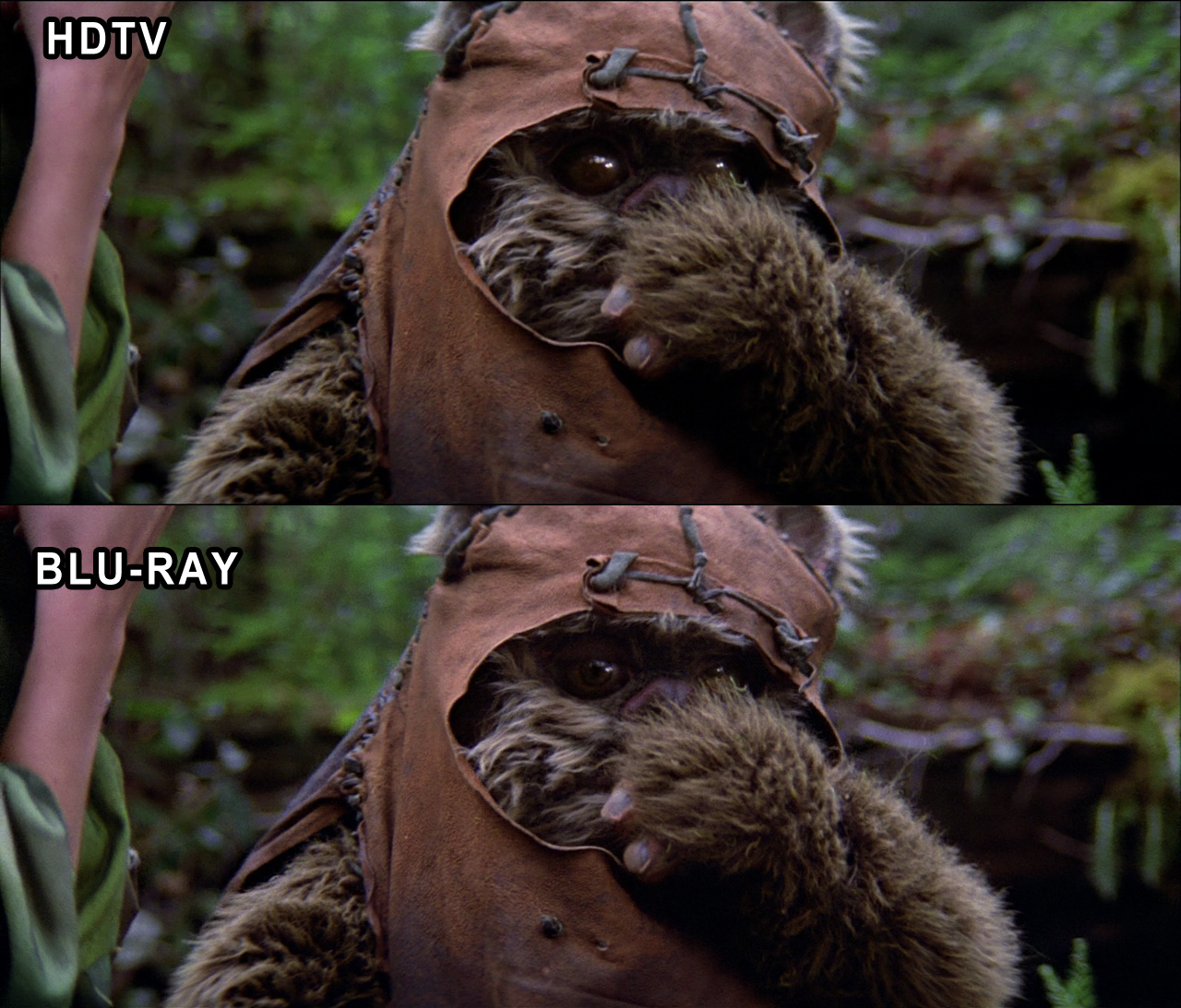 Ewok Porn