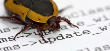 bug