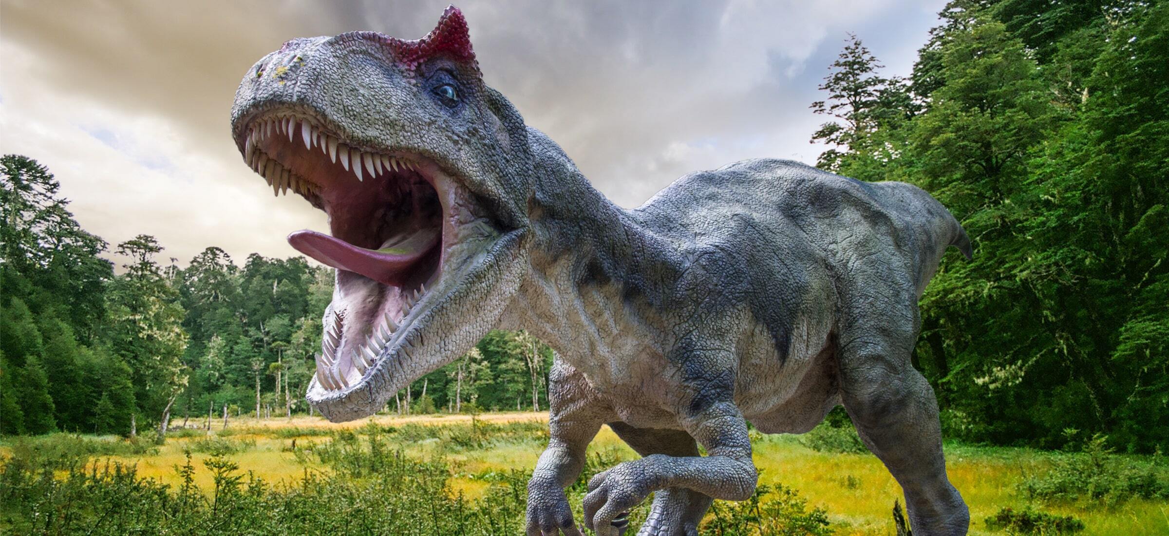 Большой динозавр хищник. Динозавры Хищные Тирекс. Dino Valley Тираннозавр. Самый страшный динозавр в мире.