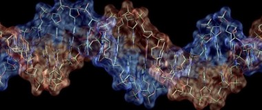 Obliczenia ewolucyjne: technologia czy biologia?