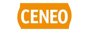 Ceneo donosi – jak grają Polacy?