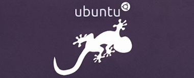 Ubuntu 13.10 Łobuzerska Salamandra, czyli cisza przed burzą – pierwsze wrażenia Spider’s Web