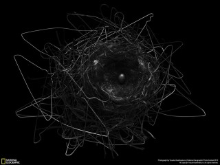 National Geographic Photo Contest 2013 - zobacz zdjęcia zwycięzców!
