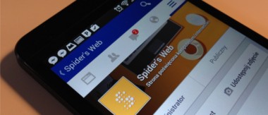 Facebook Spider's Web