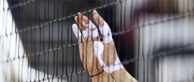 Widzę, że nie tylko ja bojkotuję Polsat. Trener reprezentacji Bułgarii w siatkówce ma tak samo