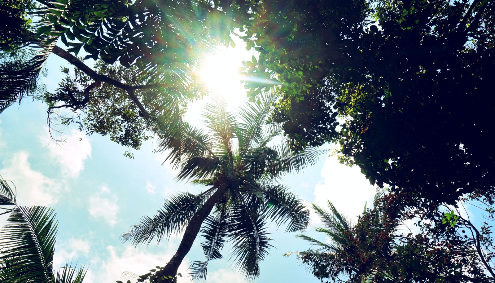 Palau Ubin, czyli nieznana twarz Singapuru na opuszczonej wysepce