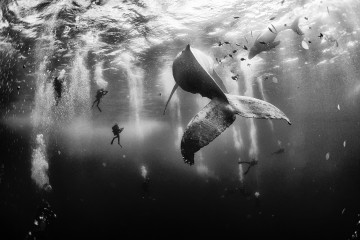 Piękne fotografie i sukces Polaka w National Geographic Traveler Photo 2015