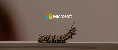 Reklama Microsoftu obraża moją inteligencję.