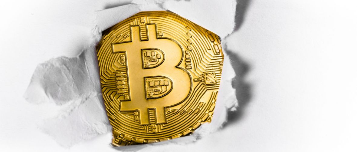 bitcoin liza telegram