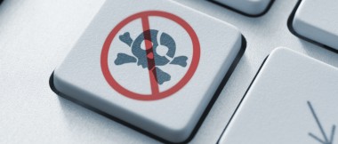 Serwis Torrenty.org nie działa