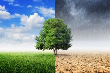 Globalna zmiana klimatu powinna być faktem nauczanym w szkołach