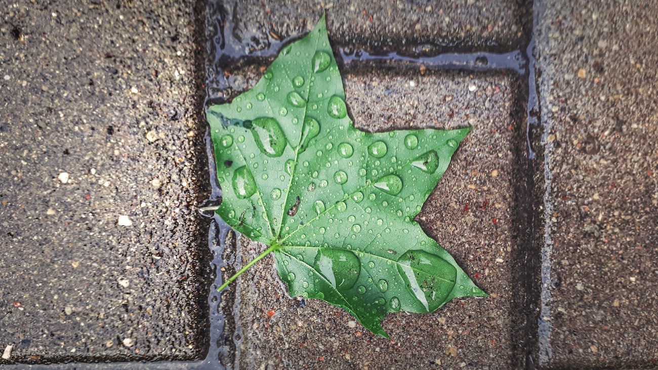 tookapic, samsung galaxy a5 2017, złapane smartfonem