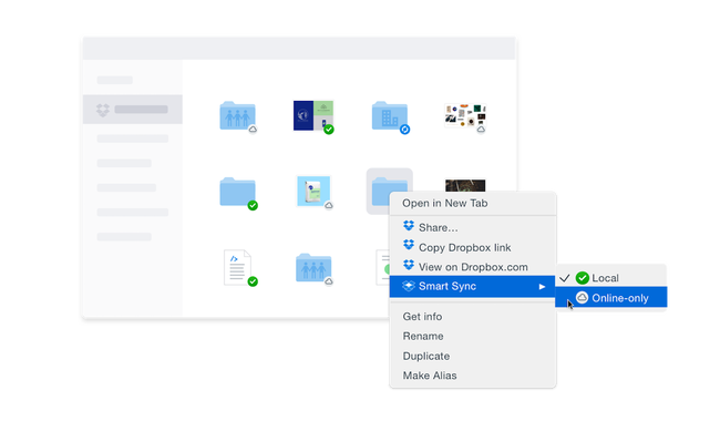 what is dropbox pro