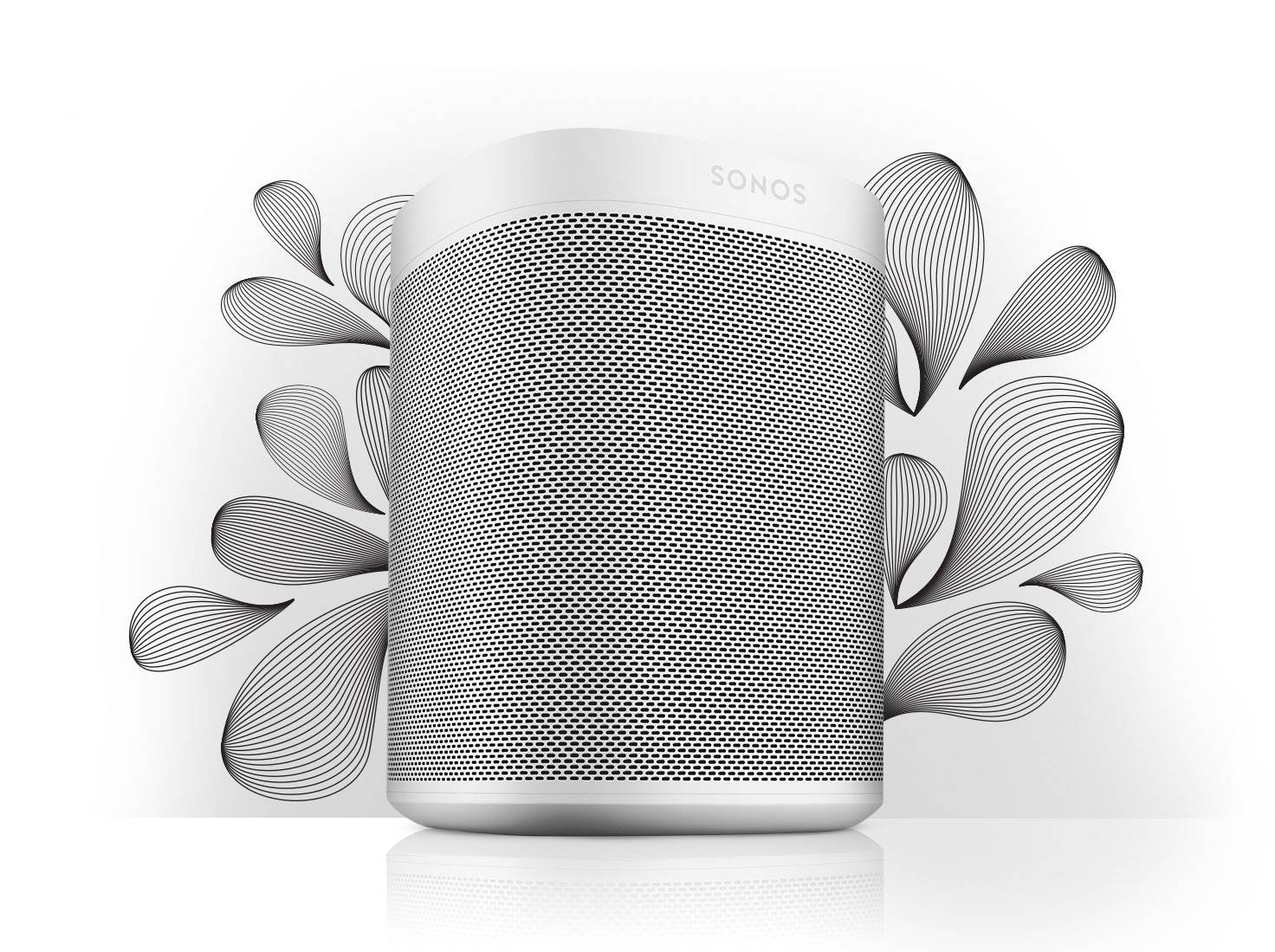 sonos głośnik