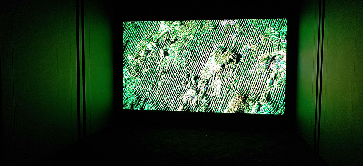 lg microled