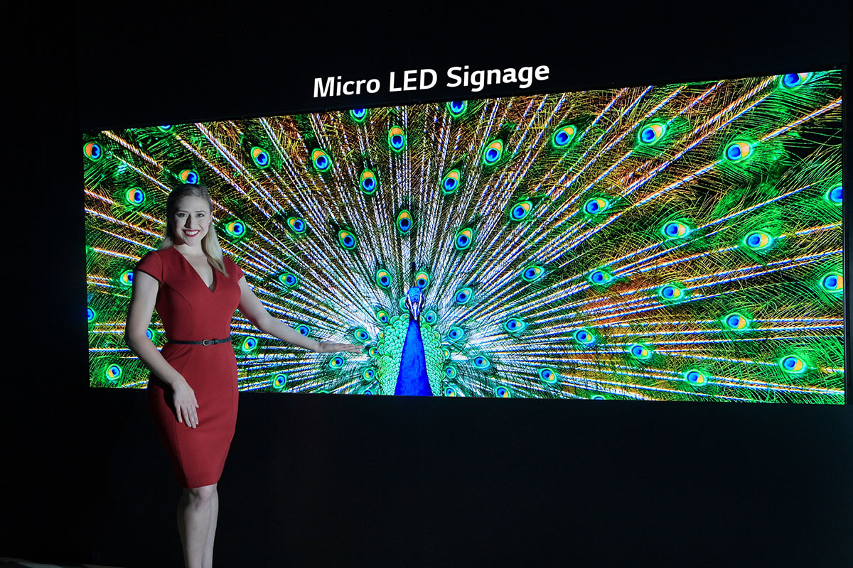 OLED Micro LED