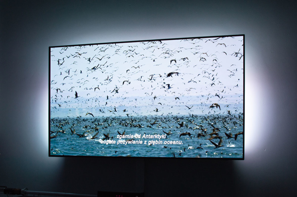 philips oled 803 review