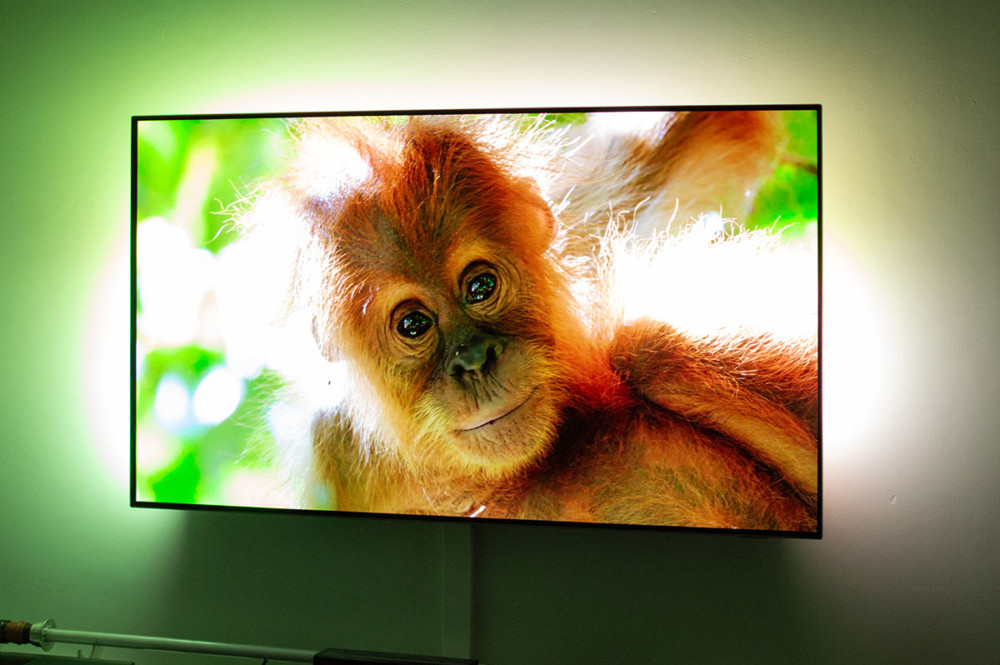 philips oled 803 review