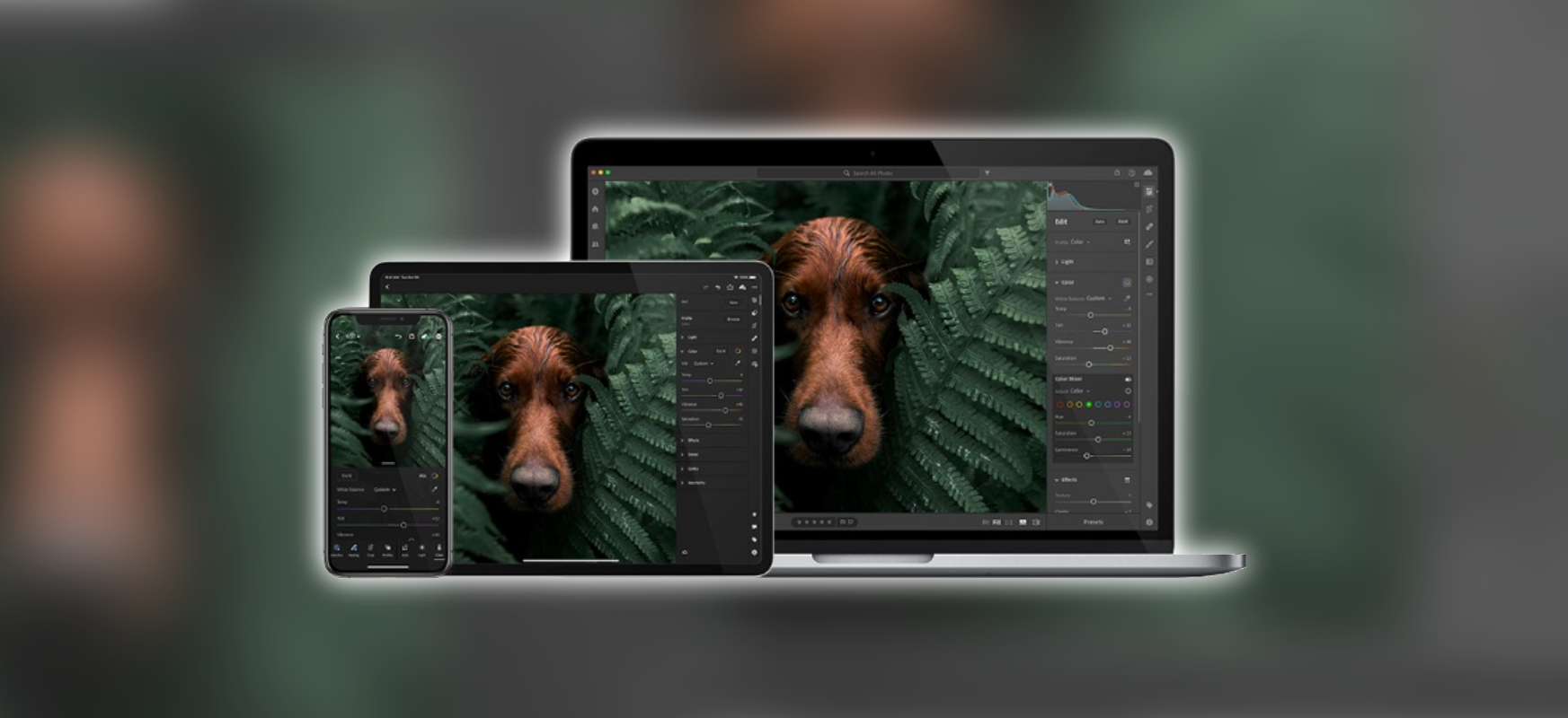 Do Lightrooma trafi nowy panel Color Grading. Zapowiada się niemała rewolucja
