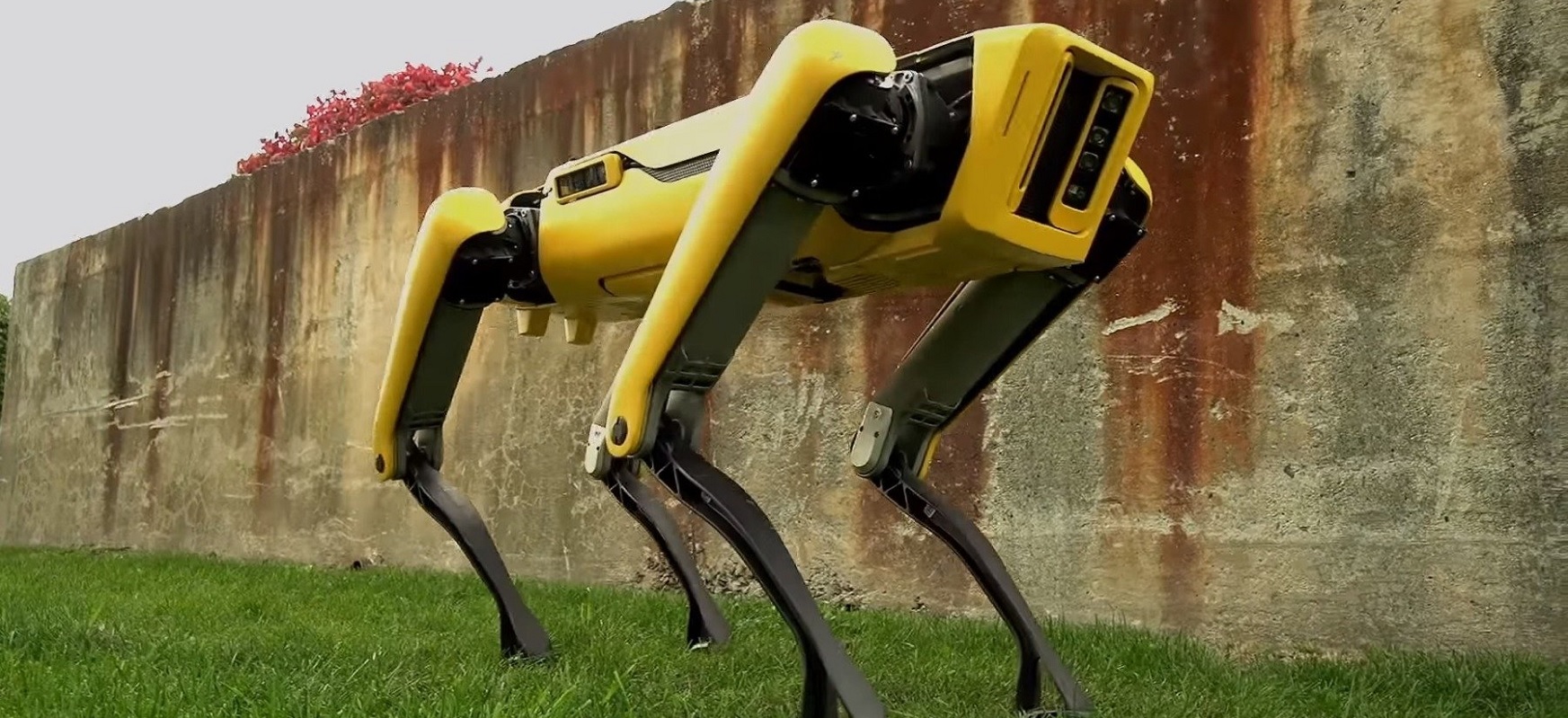 Wieczorową porą ulicami Ontario chodzą roboty. Postapokaliptyczna wizja rzeczywistością?