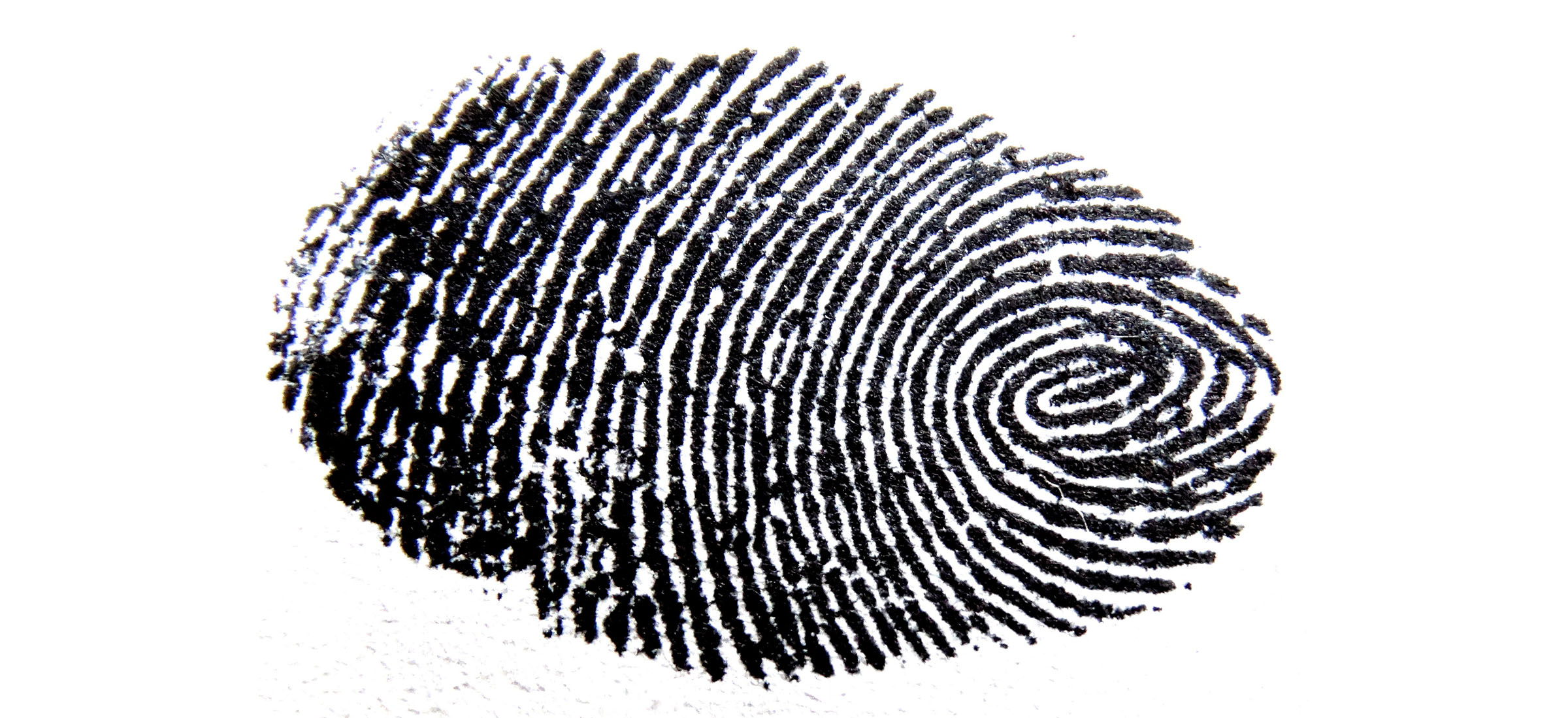 fingerprinting