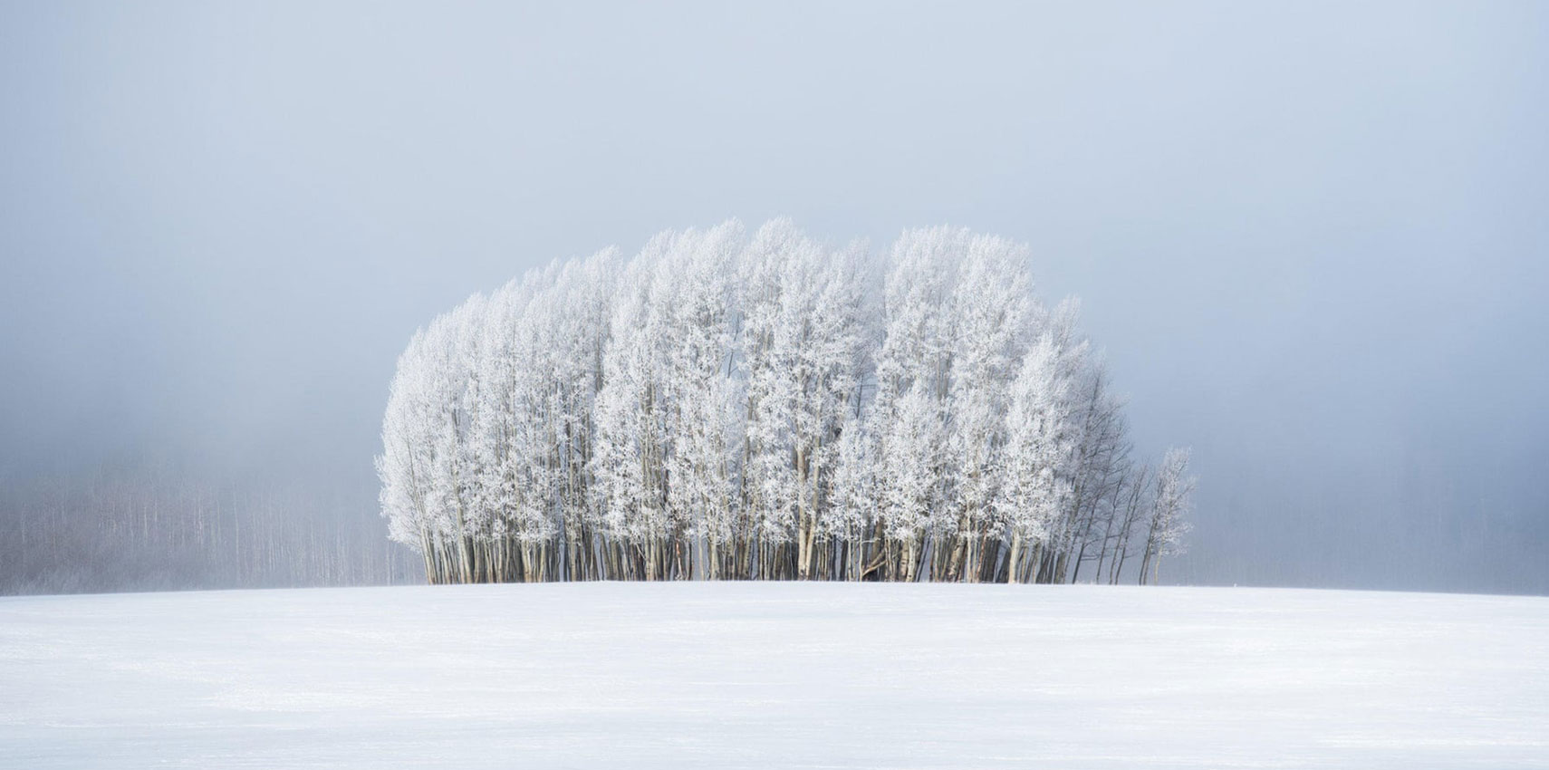 Wyniki Weather Photographer of the Year 2020