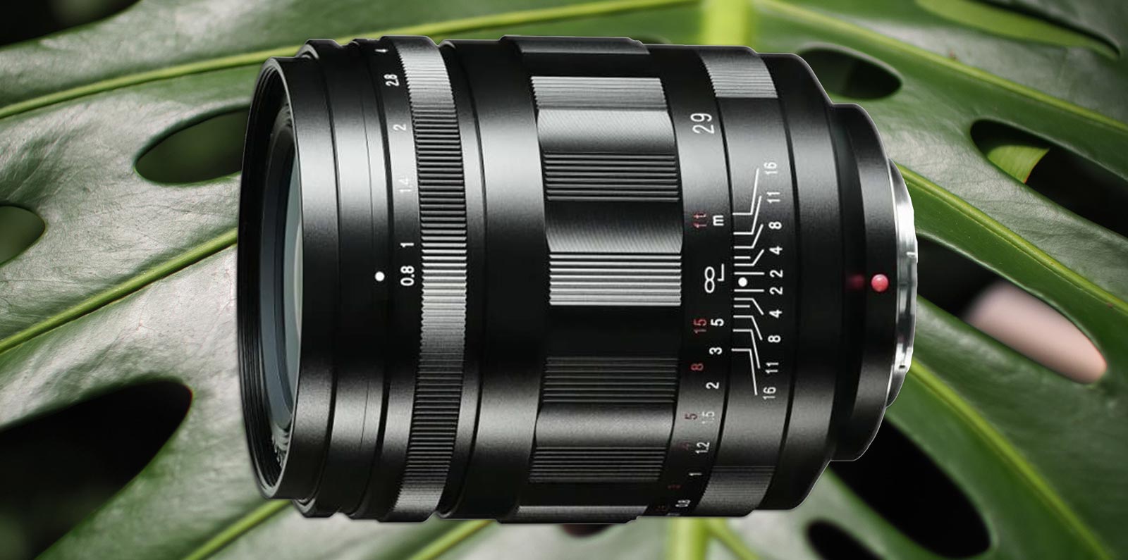 Voigtlander Super Nokton 29 mm f/0.8 - najjaśniejszy obiektyw na świecie