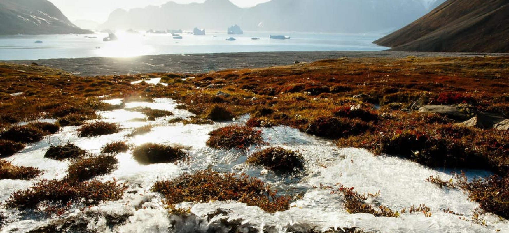 Bakterie Znajduj Ce Si W Wiecznej Zmarzlinie Mog Uwolni Do Atmosfery   Permafrost 