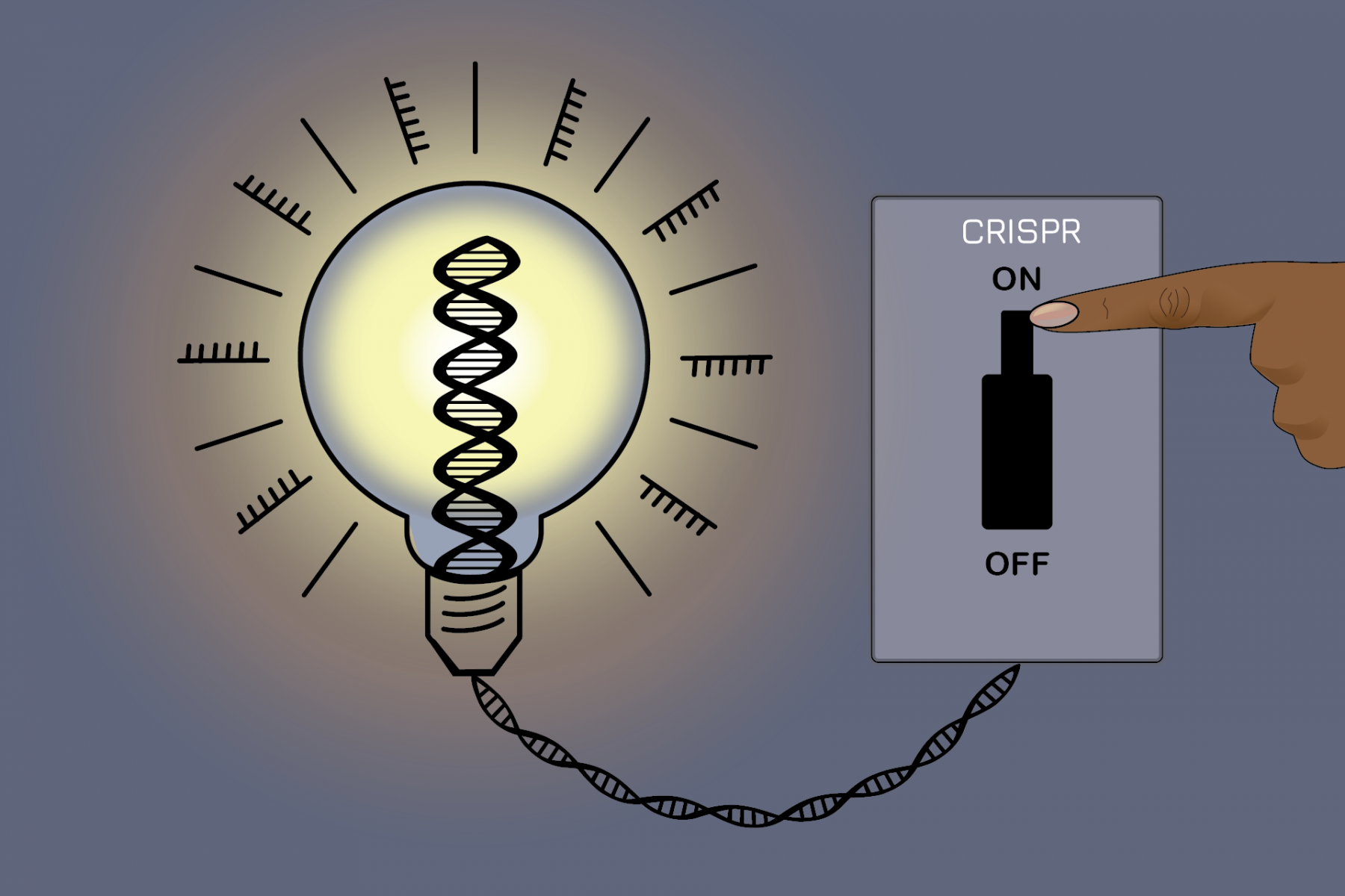 CRISPRoff - nowa metoda edycji genów, która pozwoli na edycję ludzkiego DNA