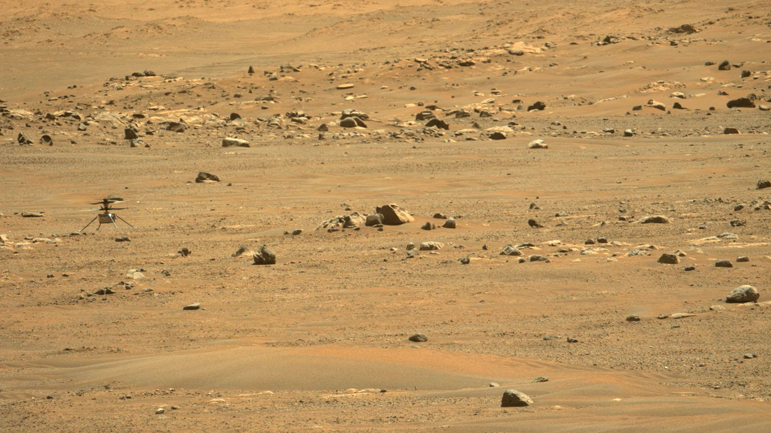 mars powierzchnia perseverance