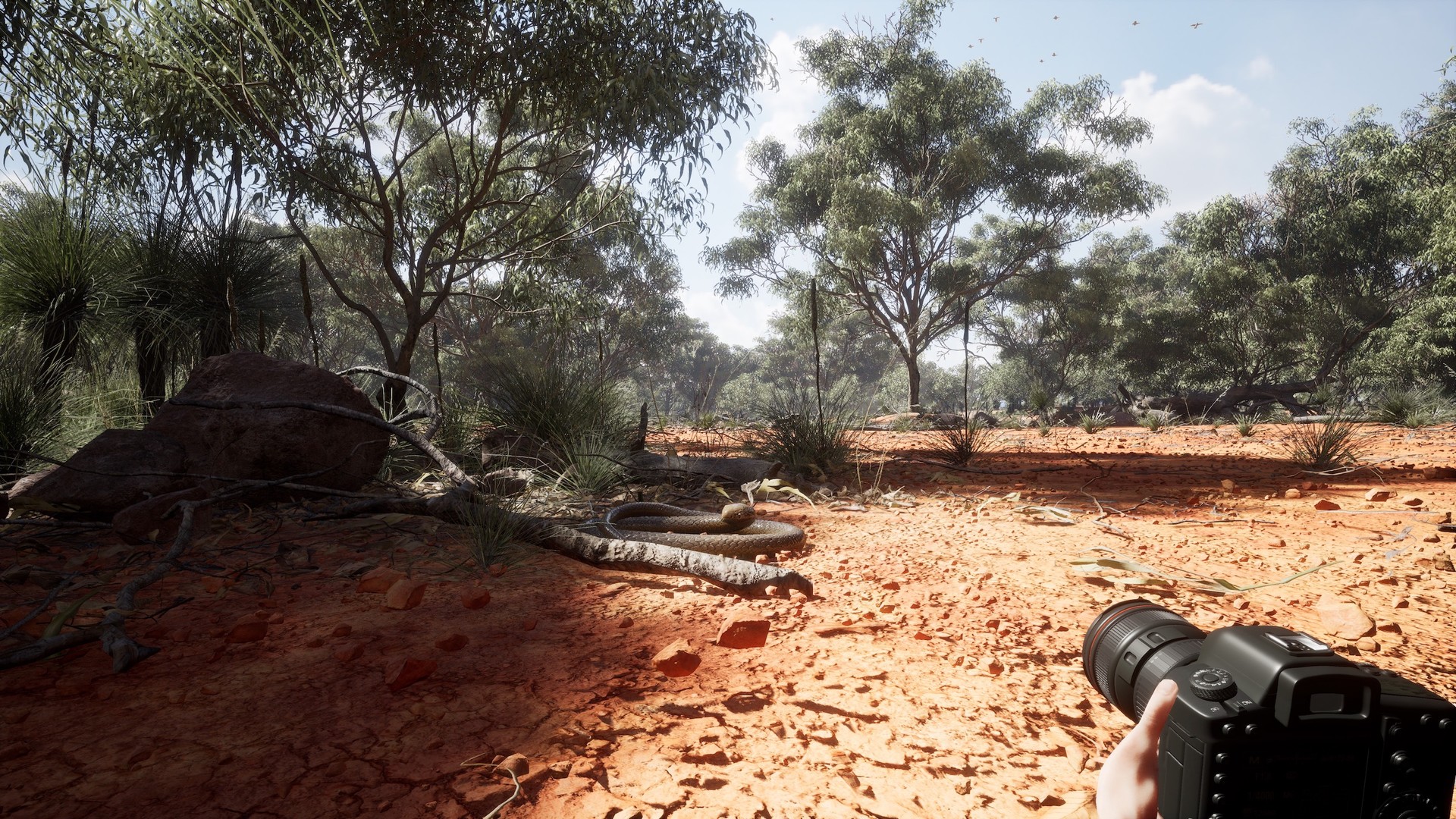 Polski Photography Simulator wygląda podejrzanie dobrze
