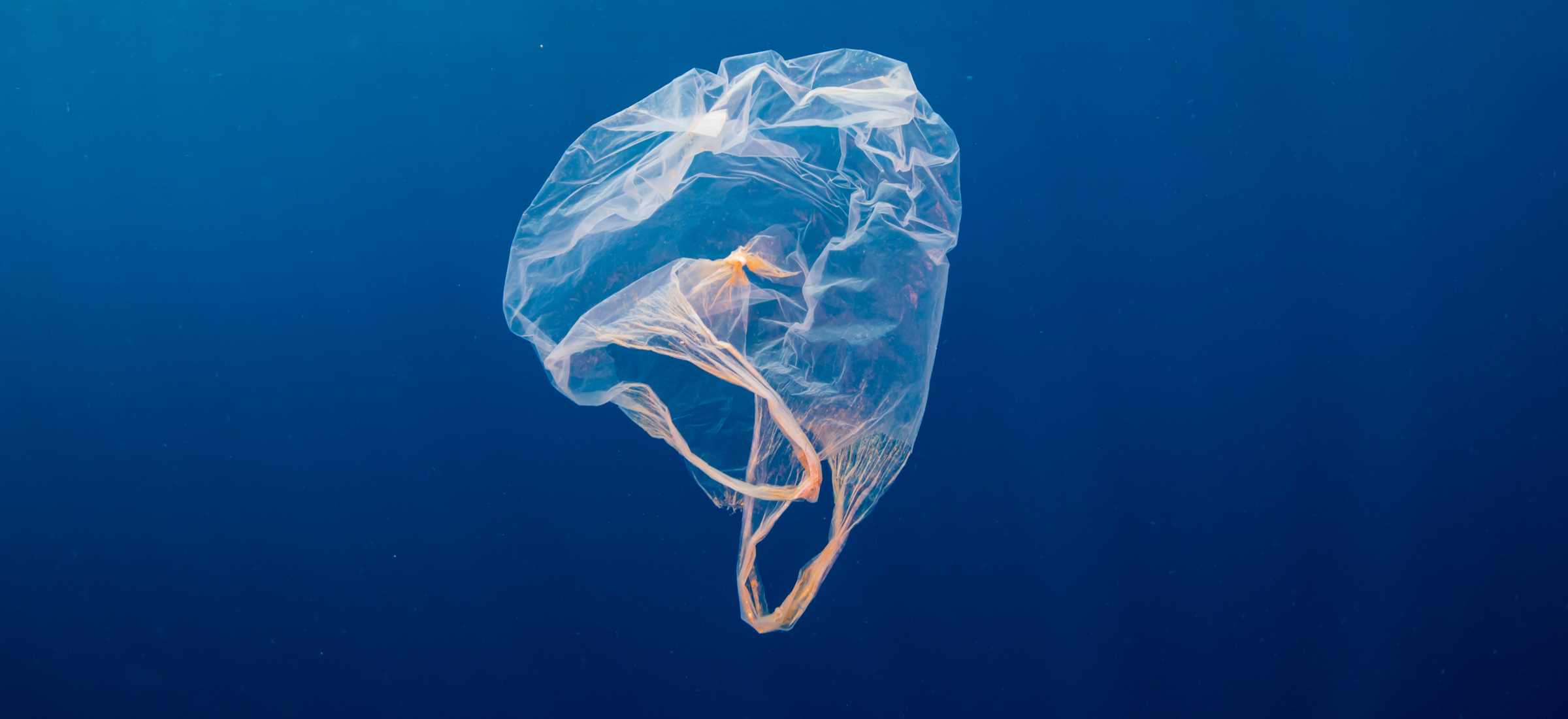 Zakaz produktów plastikowych