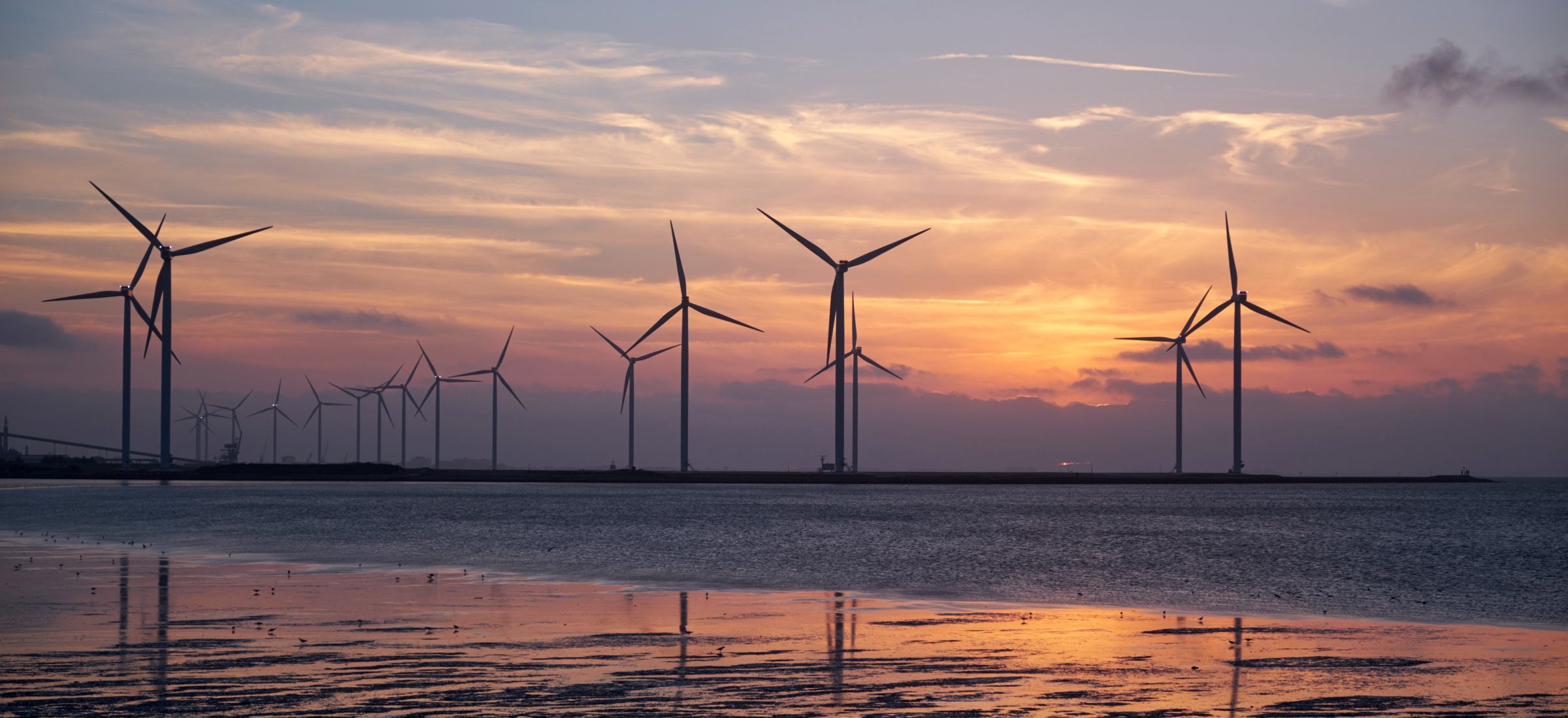 Polska ma problem z energią z wiatraków. Co się stanie z wytworzonym prądem?