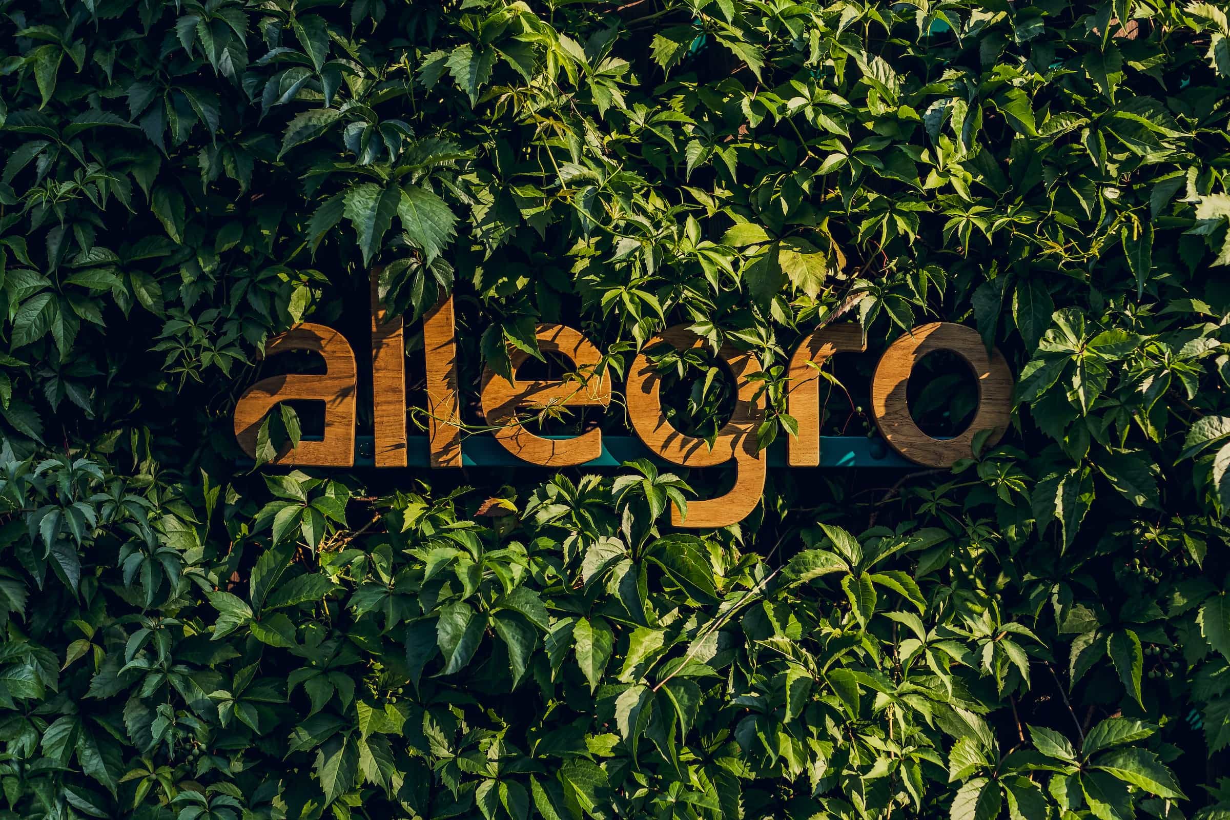 Znamy termin nowego Allegro Smart Week
