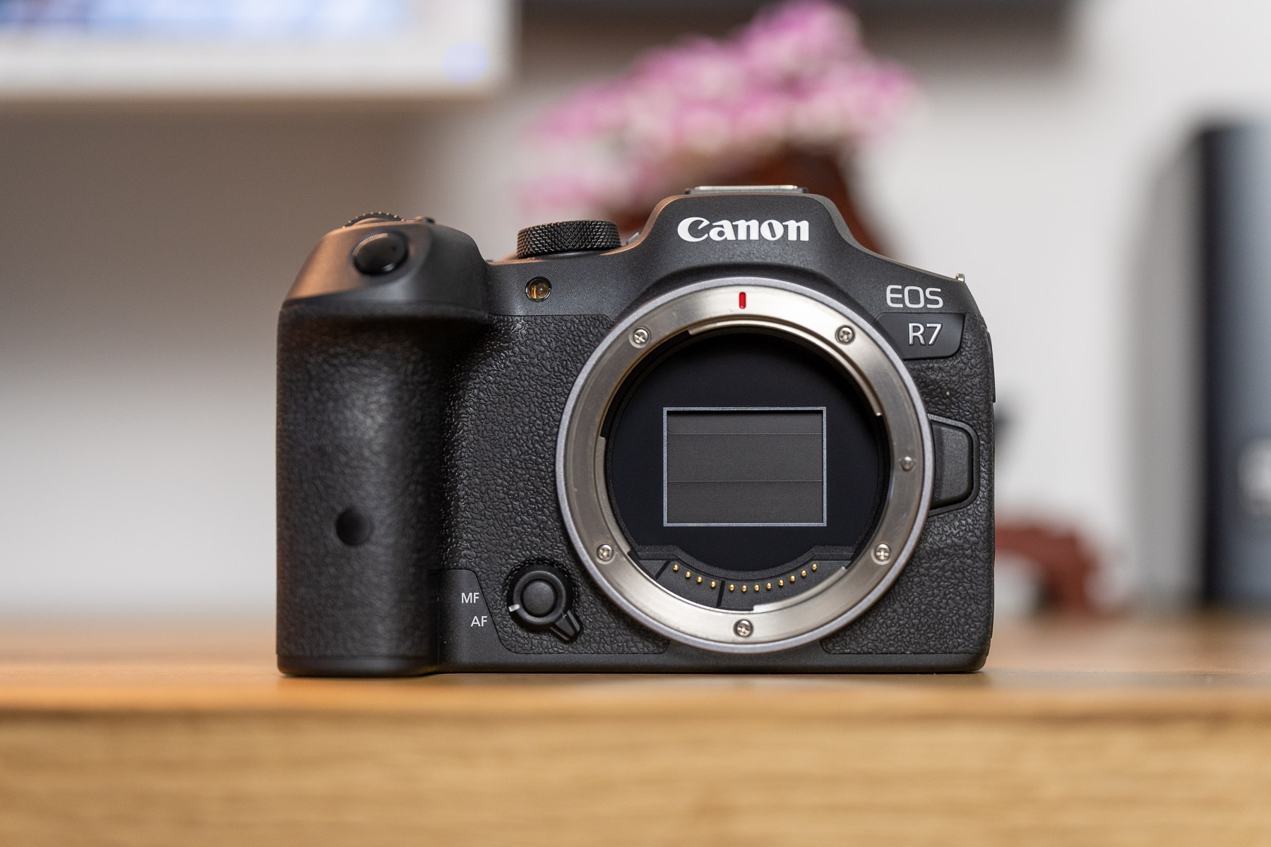 Canon EOS R7 w 7 punktach. Ten aparat ma tylko jedną słabość