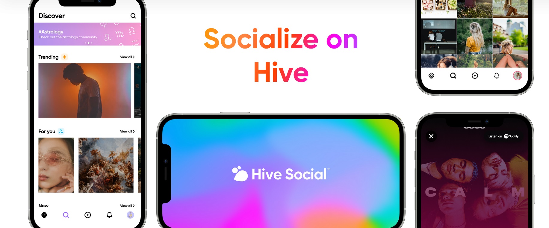 hive