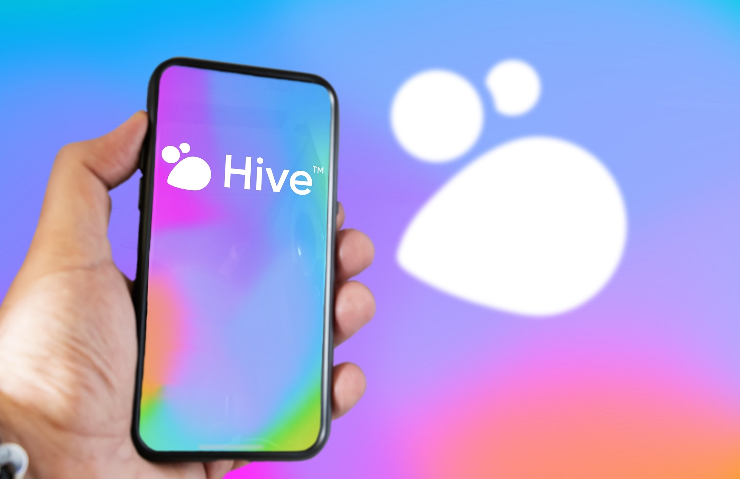 hive media społecznościowe