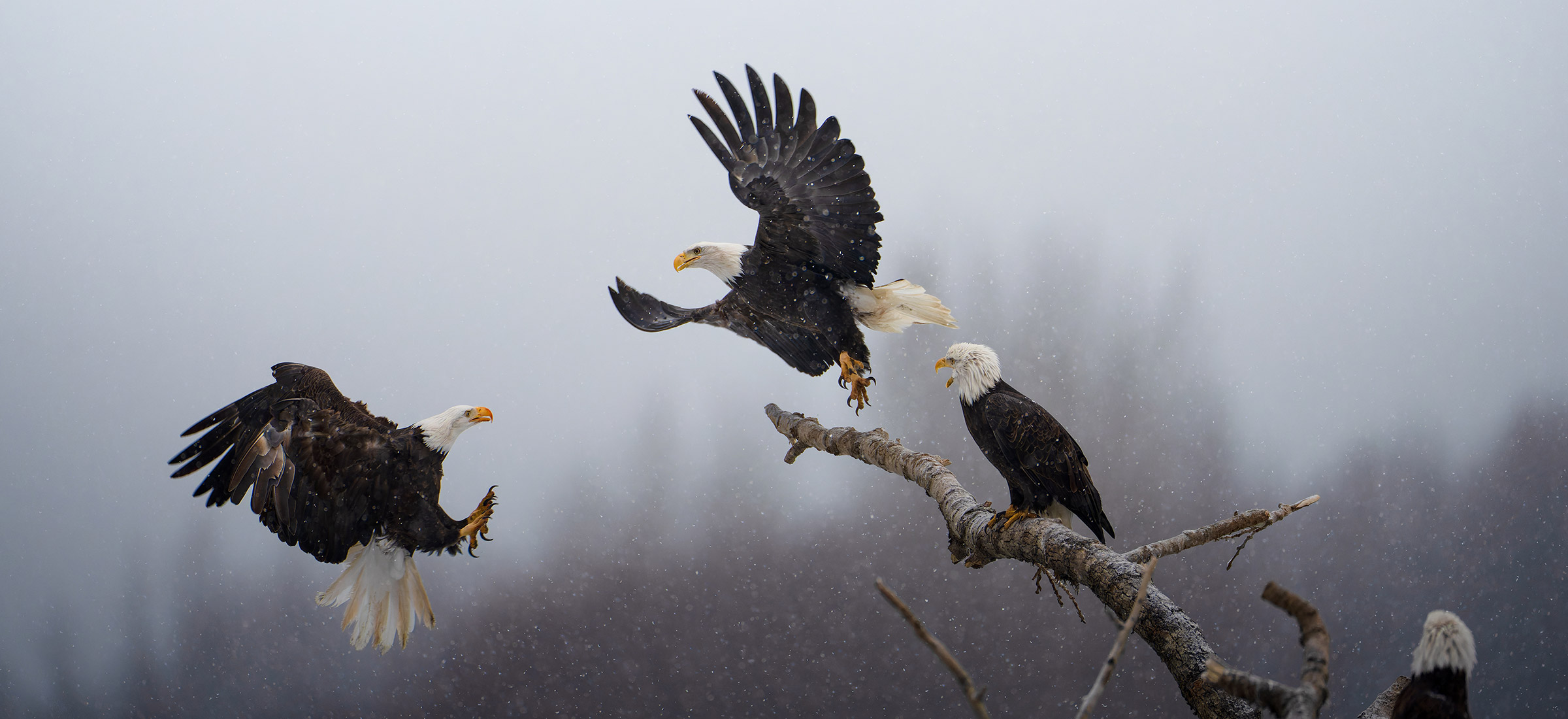 Tak wygląda natura w obiektywie zwycięzców National Geographic Pictures of the Year 2022. Oto najlepsze zdjęcia