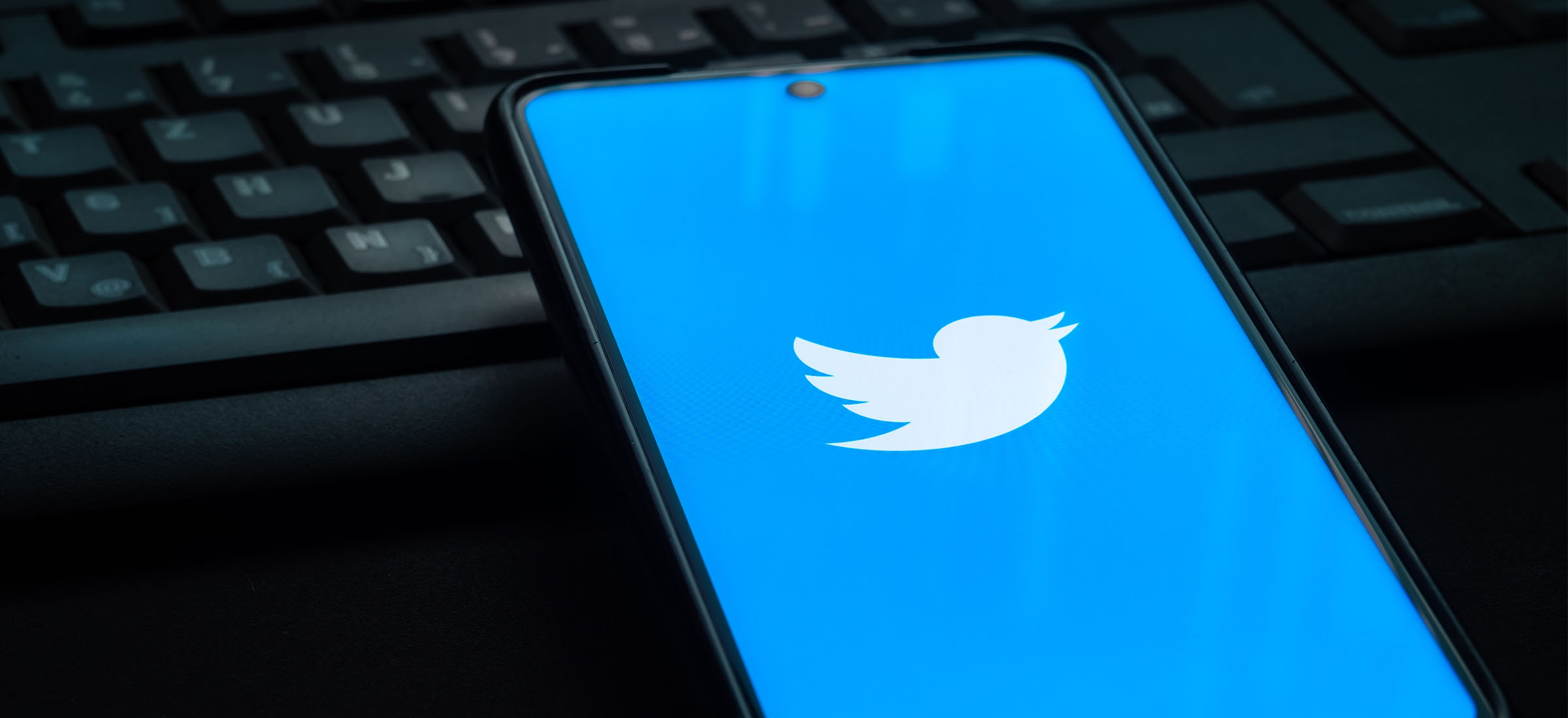 Linkowanie na Twitterze przestanie mieć sens. Każda strona będzie tylko obrazkiem
