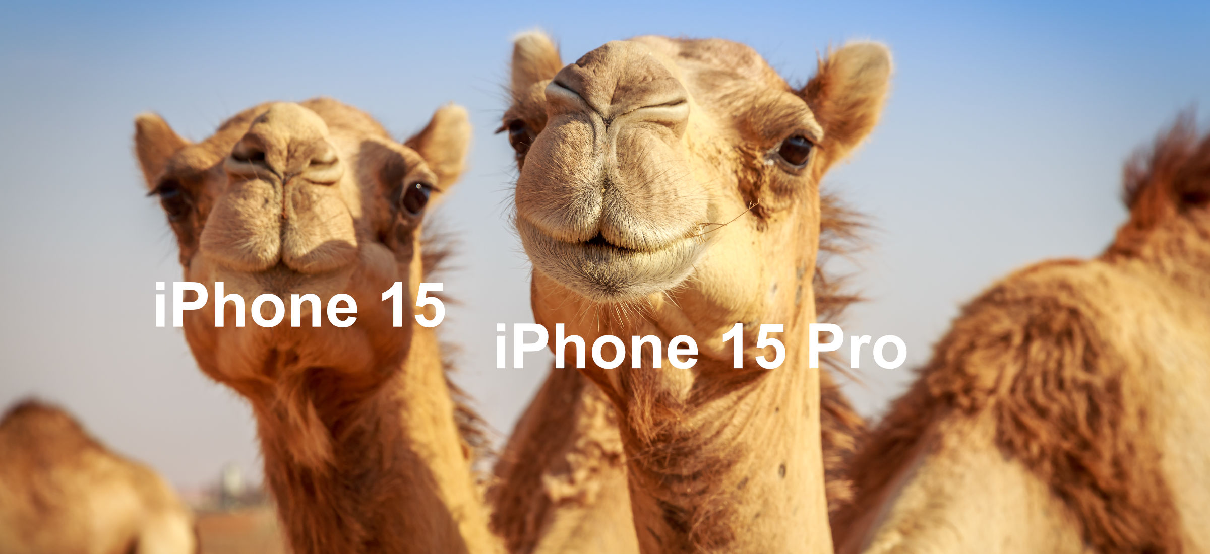 Ten pomysł jest szalony. iPhone 15 będzie miał garb, który będzie rósł i rósł