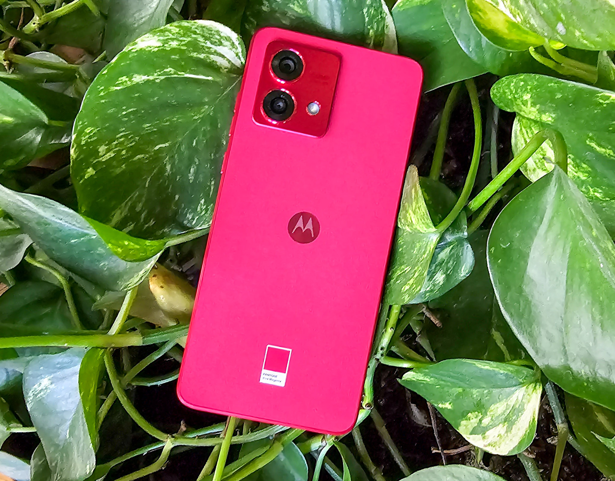 Motorola moto g84