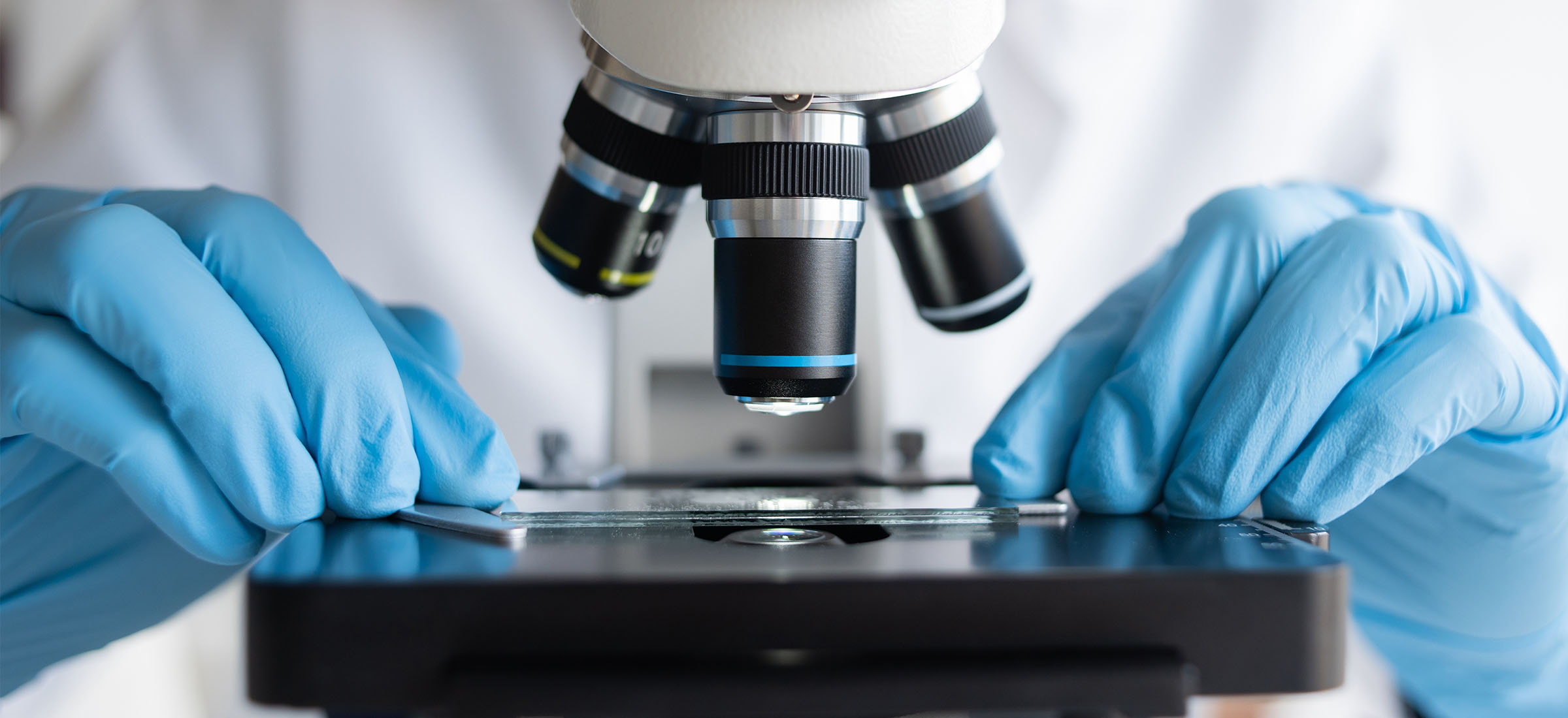 Będą uczyć się anatomii inaczej niż do tej pory. Przełomowe rozwiązanie Śląskiego Uniwersytetu Medycznego