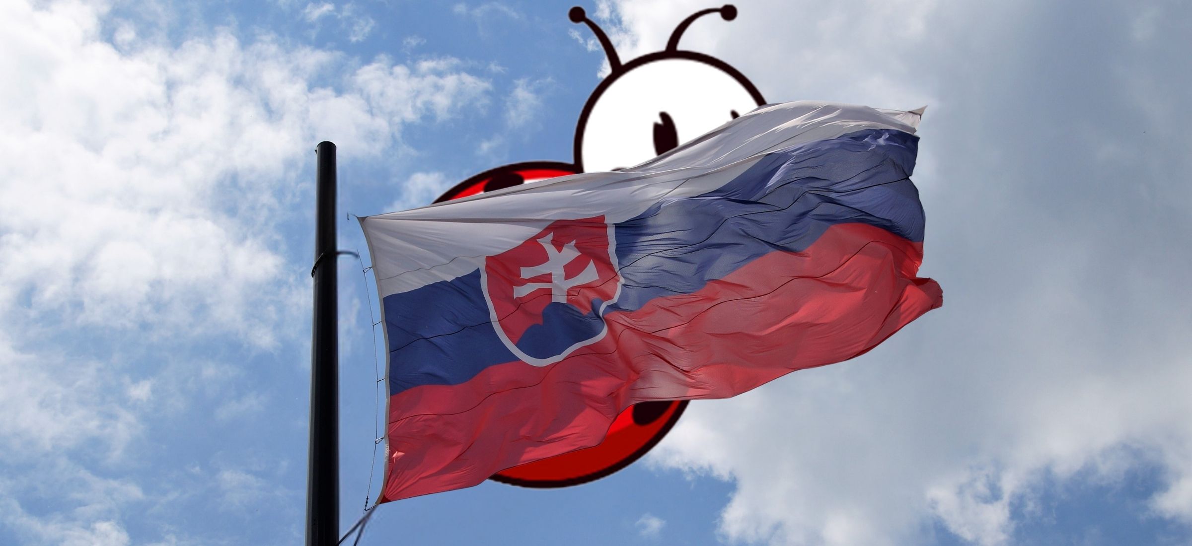Palety jadą na południe. Biedronka oficjalnie u naszych sąsiadów