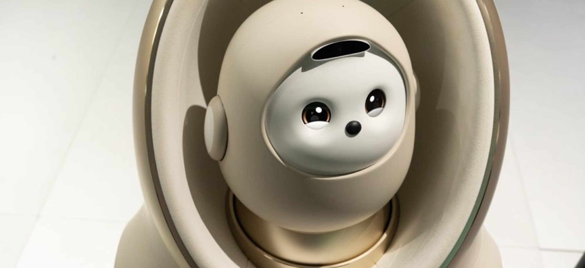 Robodziecko to nowe psiecko. Ubierzesz je w słodkie ubranka i włożysz do wózeczka